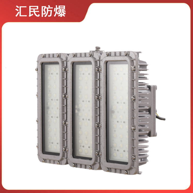 安徽豆奶富二代防爆电气有限公司BAX2025防爆LED泛光灯 安徽豆奶富二代防爆电气有限公司BAX2025防爆LED泛光灯